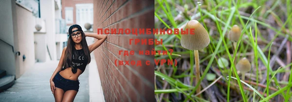 кокс Михайловск