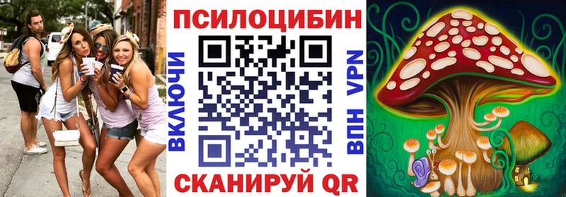 Псилоцибиновые грибы Psilocybe  Губкинский 