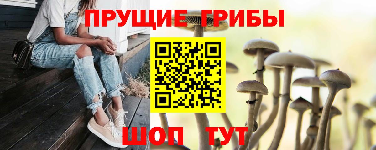 Галлюциногенные грибы Magic Shrooms  Псилоцибиновые грибы прущие грибы  Губкинский 